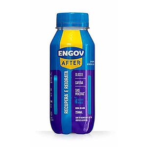 Bebida Engov After Berry Vibes 250ml