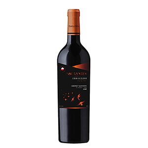 Vinho Paso De Los Andes Gran Carbenet Sauvignon 750ml