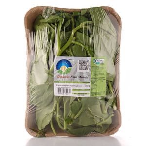 Espinafre Sítio Novo Mundo Orgânico Bandeja 300g