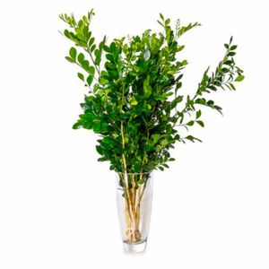 Flor Poética Maço Folhagem Variada un