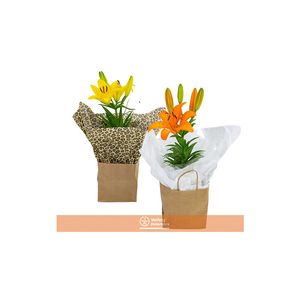 Flor Lírio Decorado Variado Pote 12 com 1un