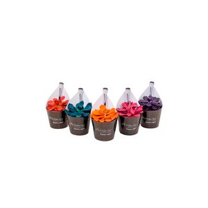Planta Echeveria Glitterz Make Upzz Pote 09 com 1un