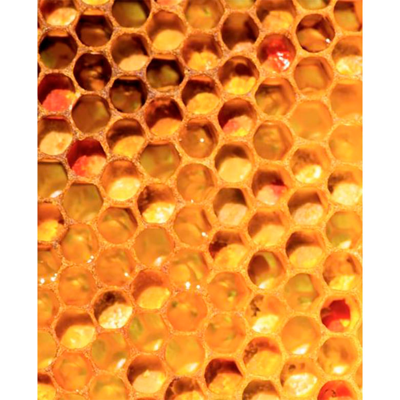 propolis-verde
