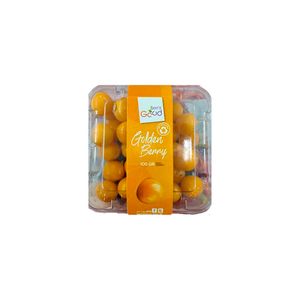 Golden Berry Berrygood 100g