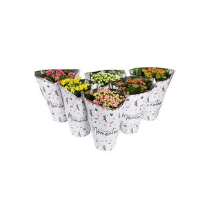 Flor Kalanchoe Dobrado Momentos Pote 15 - 1un