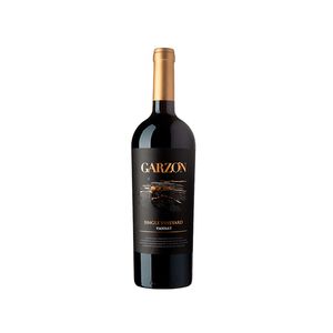 Vinho Garzon Single Vineyard Tannat 750ml