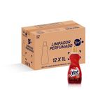 7896098904152-LimpadorPerfumadoYpeAmordeVerao1Litro-1.jpg