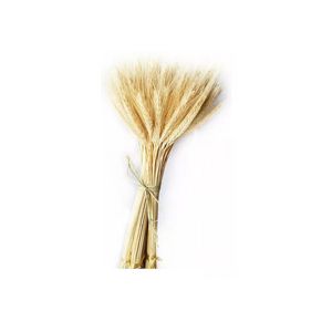Flor Desidratada Trigo 1mç