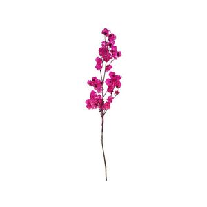 Flor Desidratada Buganvile 1mç