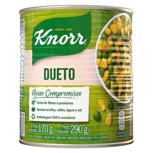 Dueto Knorr 170g