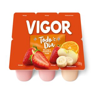 Bebida Láctea Vigor Todo Dia Polpa Vitamina 510g