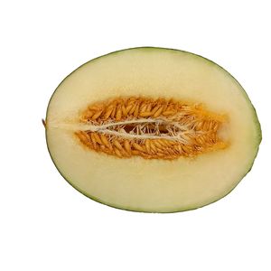Melão Verde Pedaço 970g