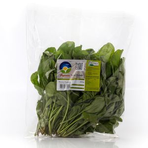 Rúcula Sítio Novo Mundo Orgânico 200 g