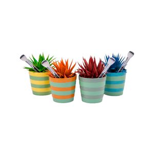 Planta Aristata Premium Colours Ceramica P11 - 1un