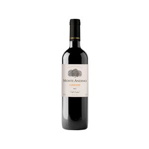Vinho Monte Andino Carmenere 750ml