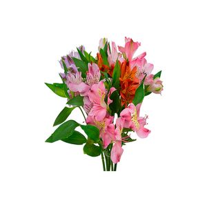 Flor Poética Alstroméria Buquê 1un