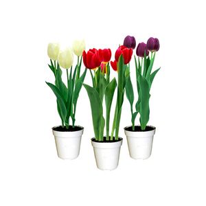 Flor Tulipa Variada Mix Pote 12 1un
