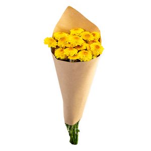 Flor Poética Flor do Campo Premium 1 maço