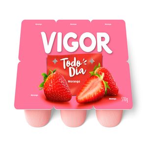 Bebida Láctea Vigor Todo Dia Polpa Morango 510g