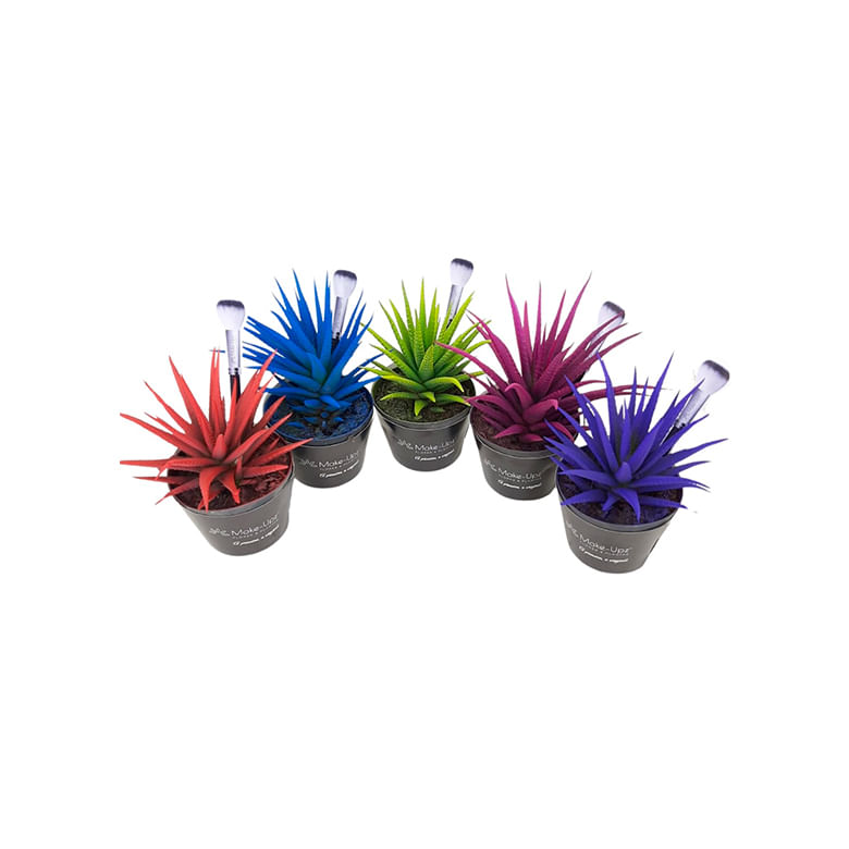 Planta Haworthia Fasciata Colours Pote11 - 1un - Covabra