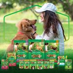 7891000115695-NESTLÉ®PURINA®DOGCHOW®ExtraLife®RaçãoÚmidaparaCãesFilhotesdeTodososTamanhosFrango100g-1.jpg